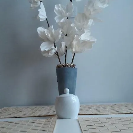 Apartament Przy Zurawiu Διαμέρισμα Γκντανσκ